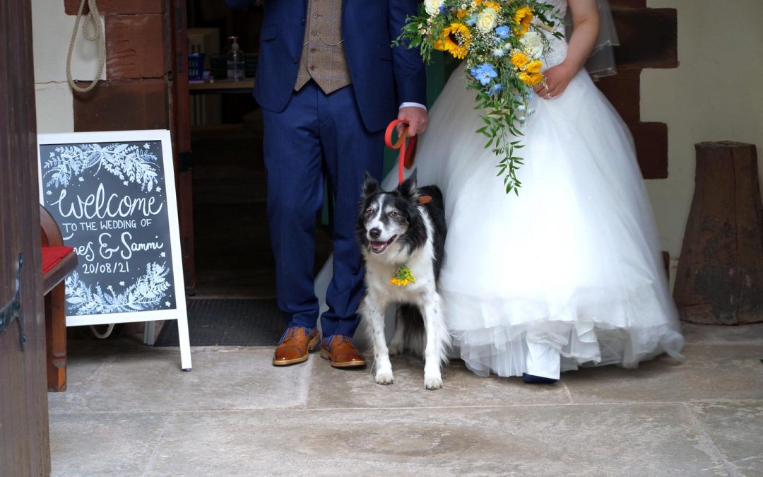 bride and groom with border collie dog outside church