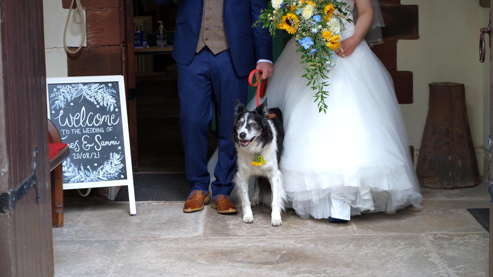 bride and groom with border collie dog outsdie church