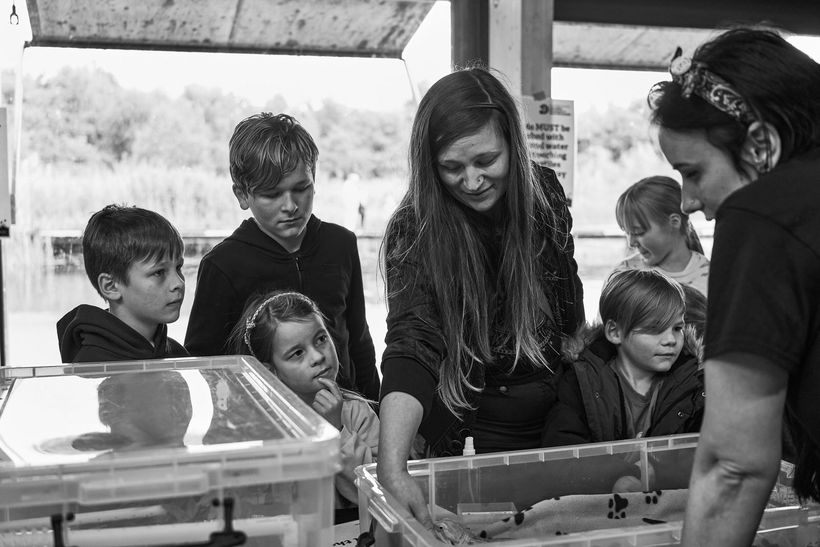 a family lean over a exotic animal box at Brockholes