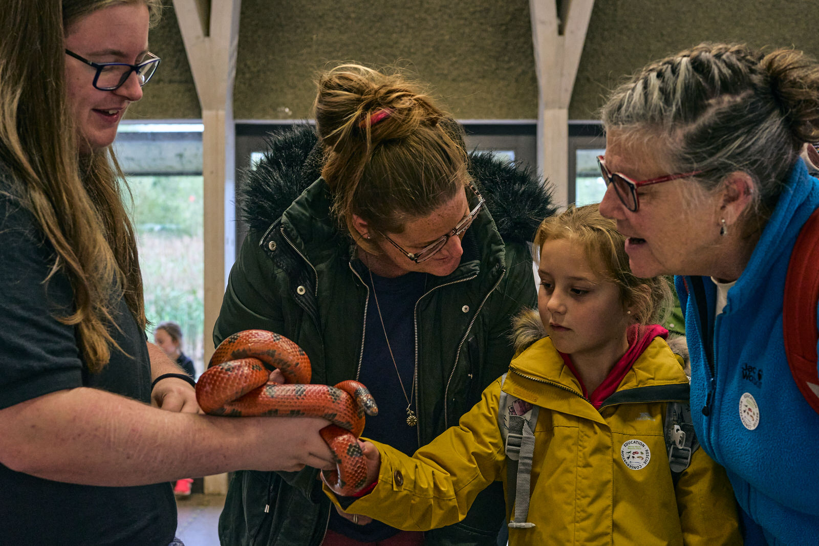 A family enthusiastically pet a corn snake