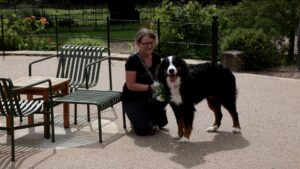 a Bernese mountain dog is waiting to be a ring barer at a wedding at Browsholme Hall